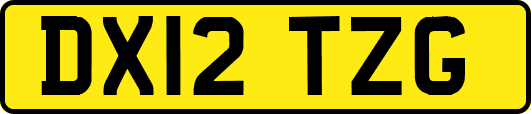 DX12TZG