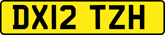 DX12TZH