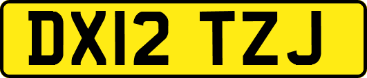 DX12TZJ