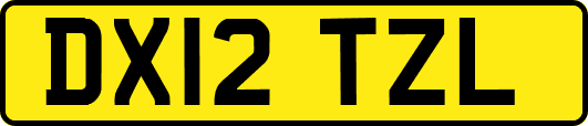 DX12TZL