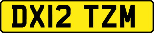 DX12TZM