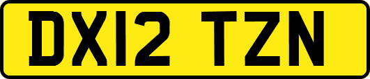 DX12TZN
