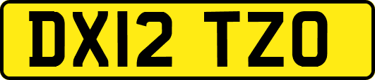 DX12TZO