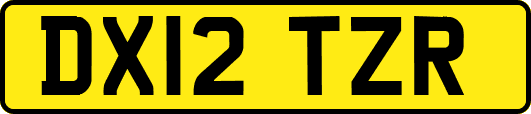 DX12TZR