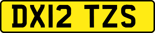 DX12TZS