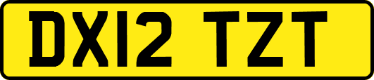 DX12TZT
