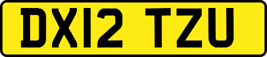 DX12TZU