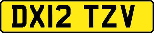 DX12TZV