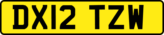 DX12TZW