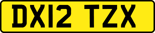 DX12TZX
