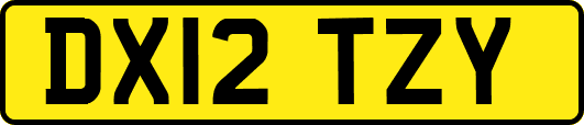 DX12TZY