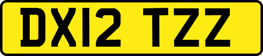 DX12TZZ