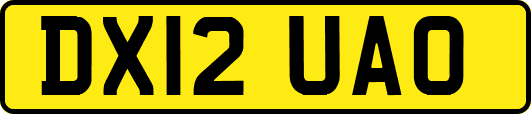 DX12UAO