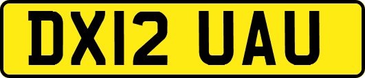 DX12UAU