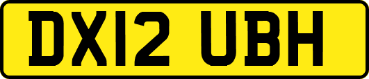 DX12UBH