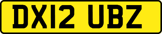 DX12UBZ