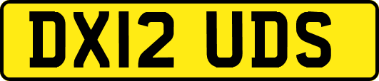 DX12UDS