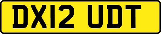 DX12UDT