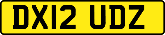 DX12UDZ
