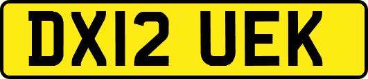 DX12UEK