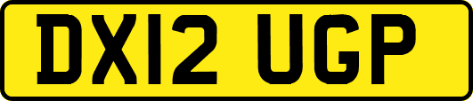 DX12UGP