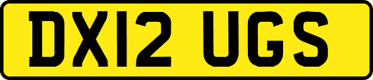 DX12UGS