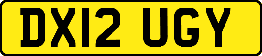 DX12UGY