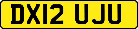 DX12UJU