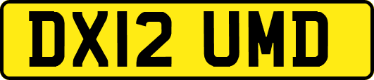 DX12UMD