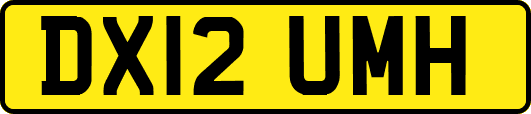 DX12UMH