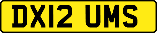 DX12UMS