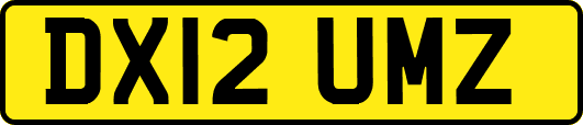 DX12UMZ