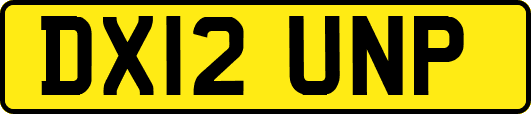 DX12UNP