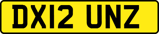 DX12UNZ