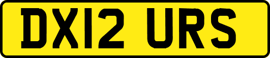DX12URS