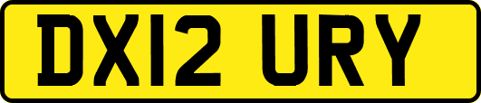 DX12URY