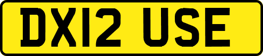DX12USE