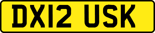 DX12USK