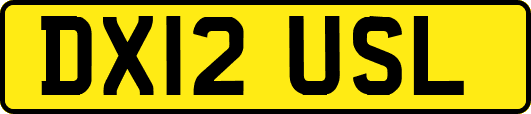 DX12USL