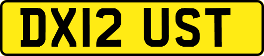DX12UST