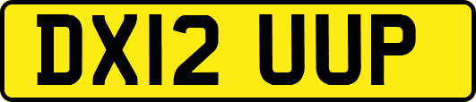 DX12UUP