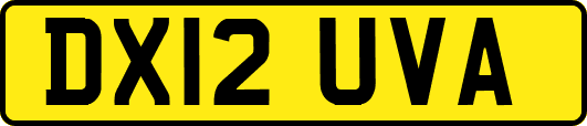 DX12UVA