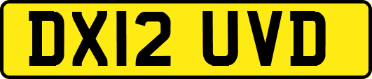 DX12UVD