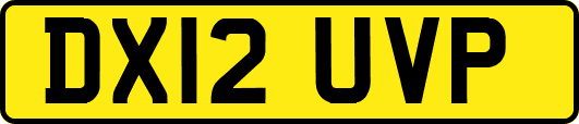 DX12UVP