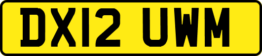 DX12UWM