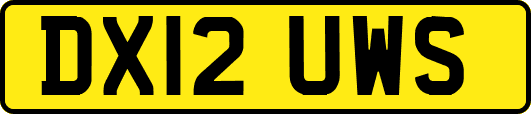 DX12UWS