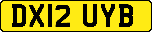 DX12UYB