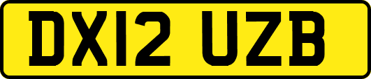 DX12UZB