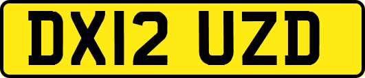DX12UZD