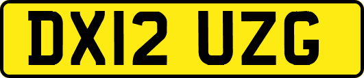 DX12UZG